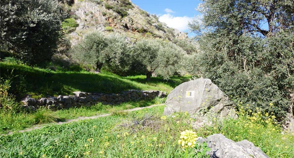 Περπάτημα σε Αρχαίο μονοπάτι 